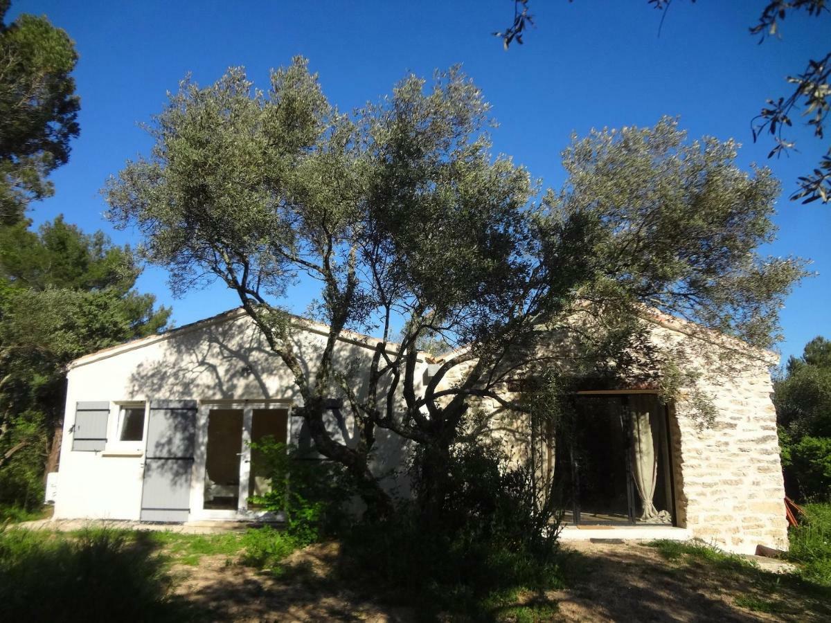 Le Mazet D'Uzes Villa Ngoại thất bức ảnh